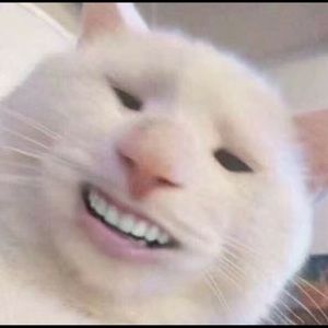 Meet your Posher, Christian